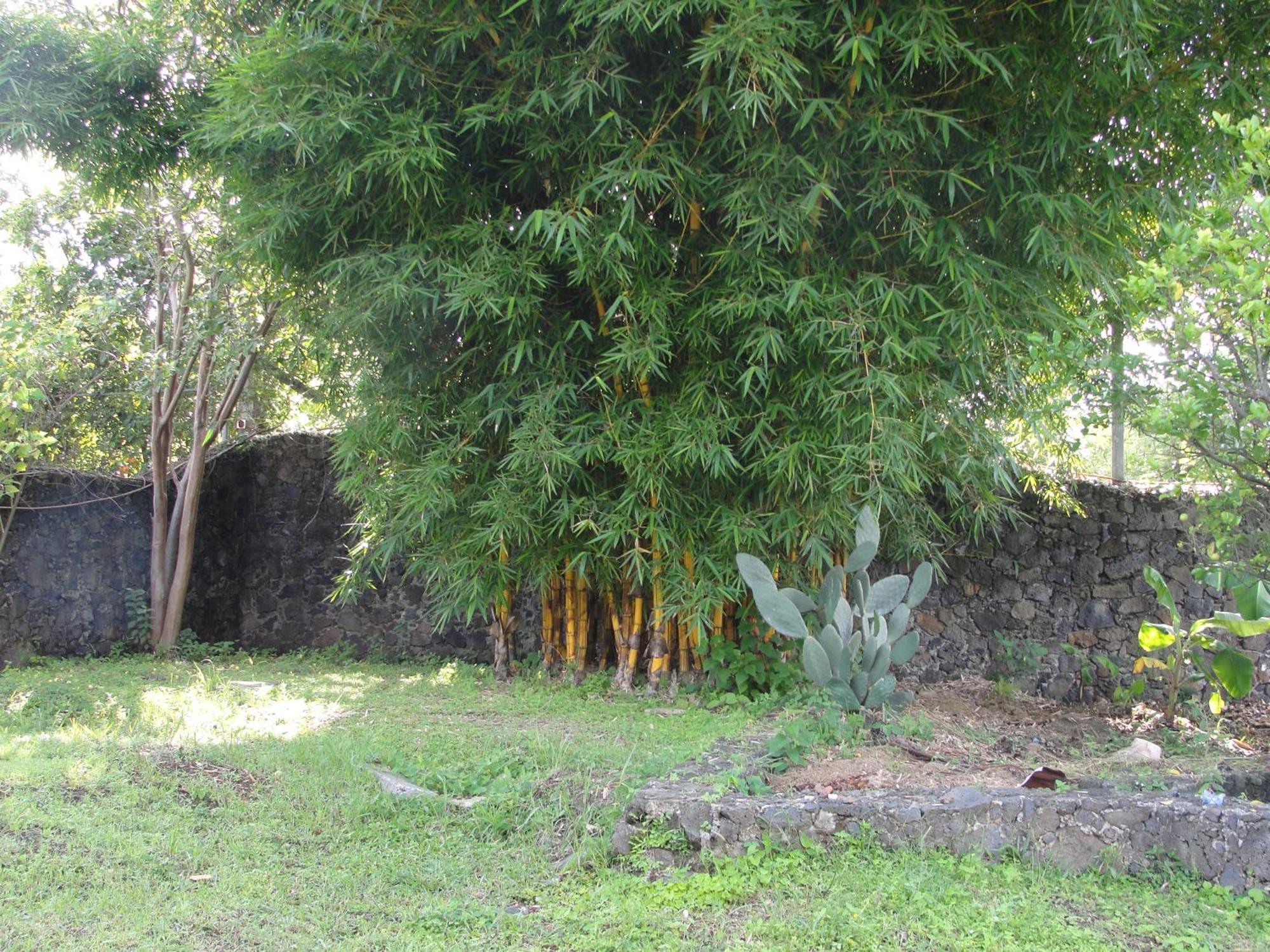 Las Casitas Tepoztlán Exterior foto